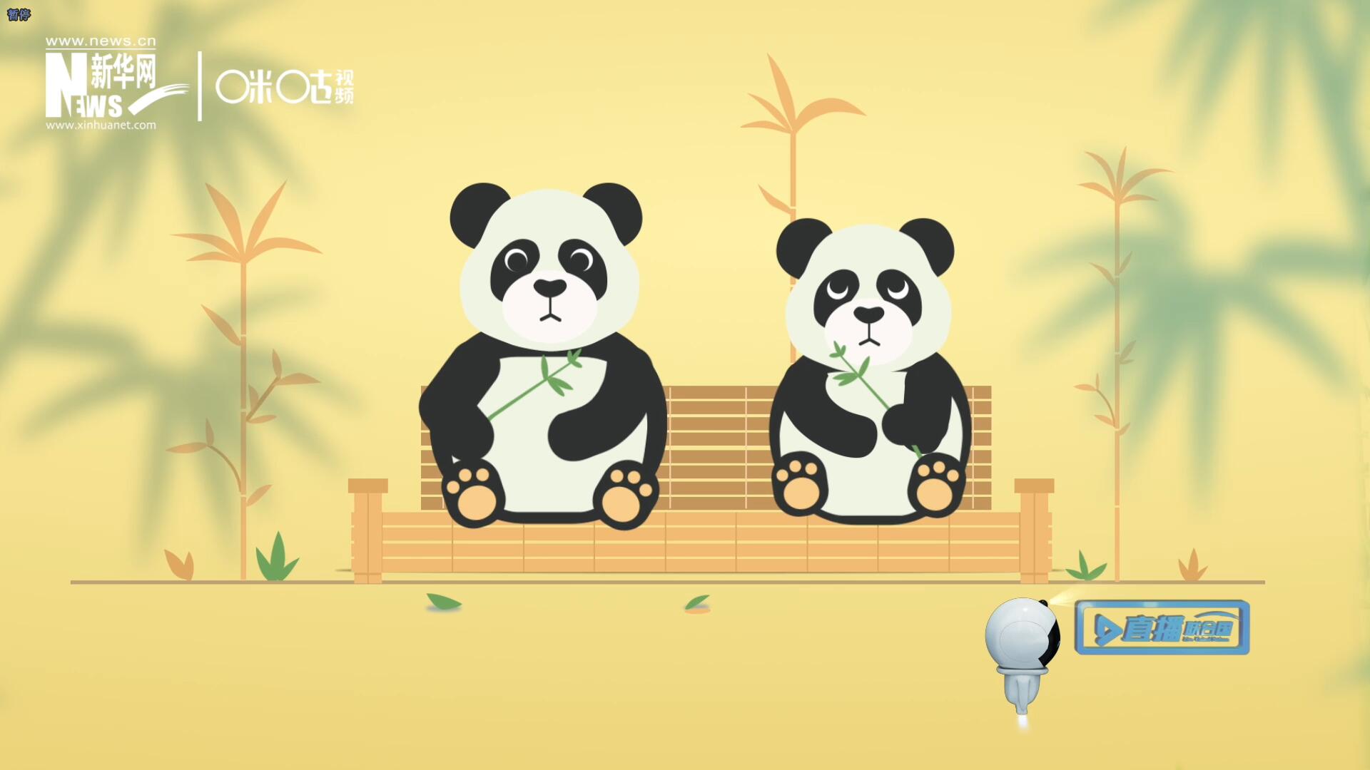 “哥哥你看，又有人來看我們了。”“有什么奇怪的，我們可是聯(lián)合國‘最萌’的大使啊！”。