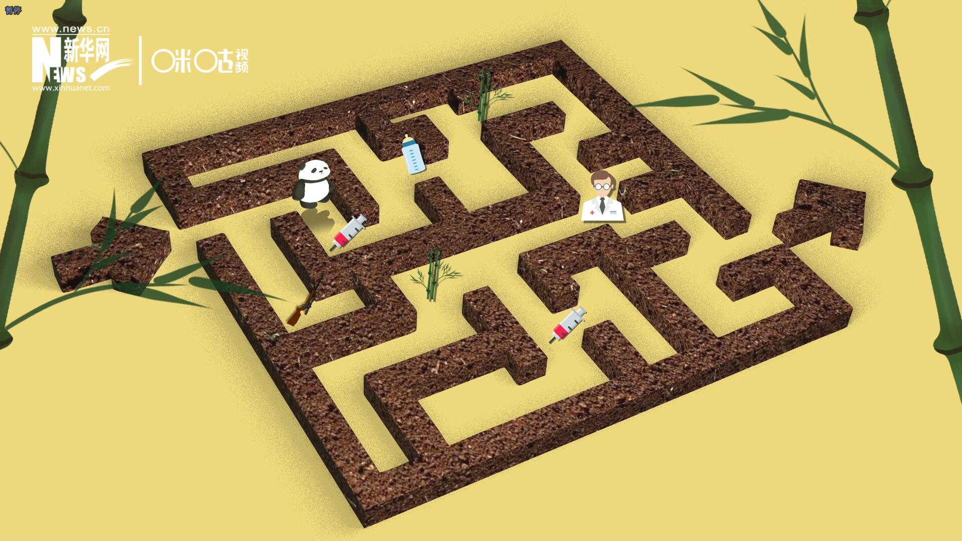 2016年，國際自然保護聯(lián)盟將大熊貓的物種瀕危等級，從“瀕危”下降到了“易危”。