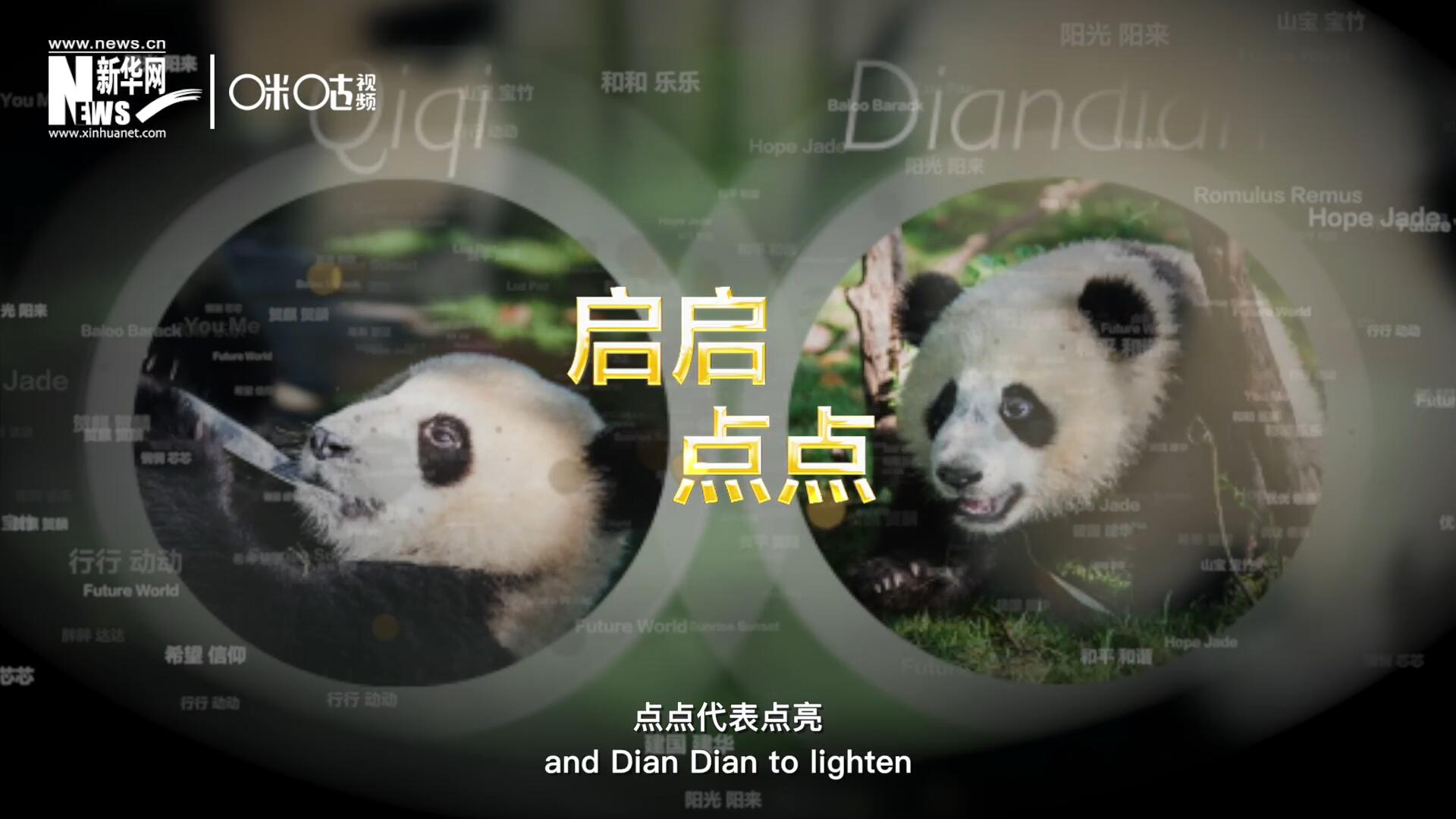 啟啟代表“啟發(fā)”，點點代表“點亮”，象征著2030年可持續(xù)發(fā)展議程 的“起點”，也象征著全球可持續(xù)發(fā)展路徑的新起點。