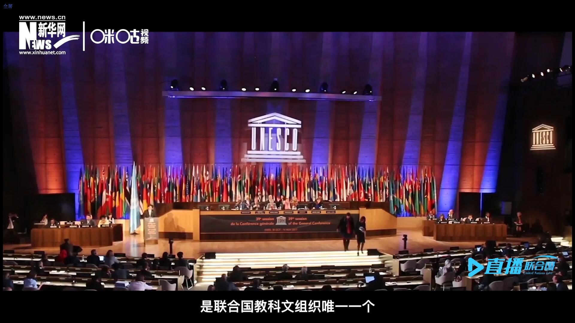 民間藝術(shù)國際組織成立于1979年，是聯(lián)合國教科文組織唯一一個以保護(hù)和挖掘國際民間藝術(shù)為工作中心的國際機(jī)構(gòu)。