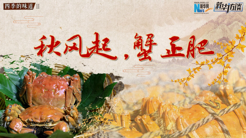 秋風(fēng)起，蟹正肥