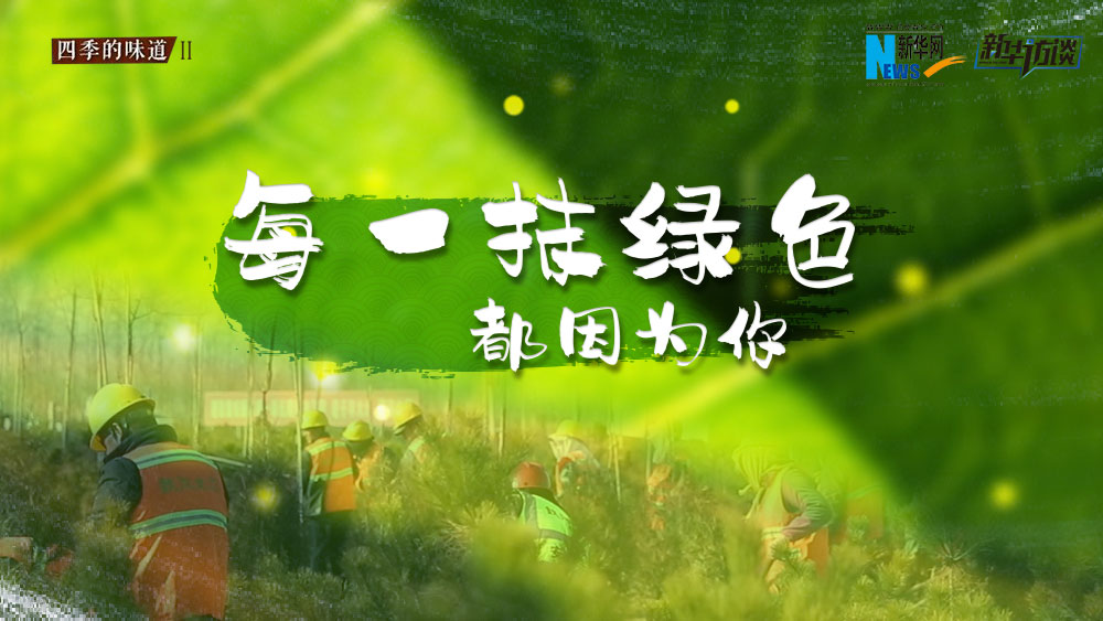 千年秀林，每一抹綠色都因為你