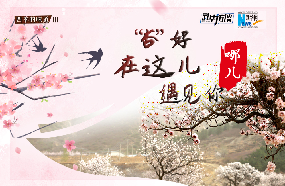 哪兒？“杏”好在這兒遇見你！