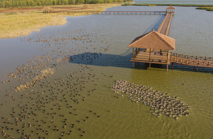 新華微評&middot;學習路上：生態(tài)興，百業(yè)旺