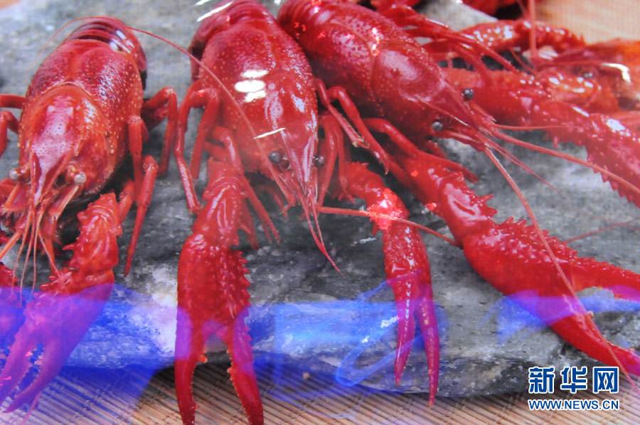 螺螄殼里做道場，小龍蝦吃出大產(chǎn)業(yè)