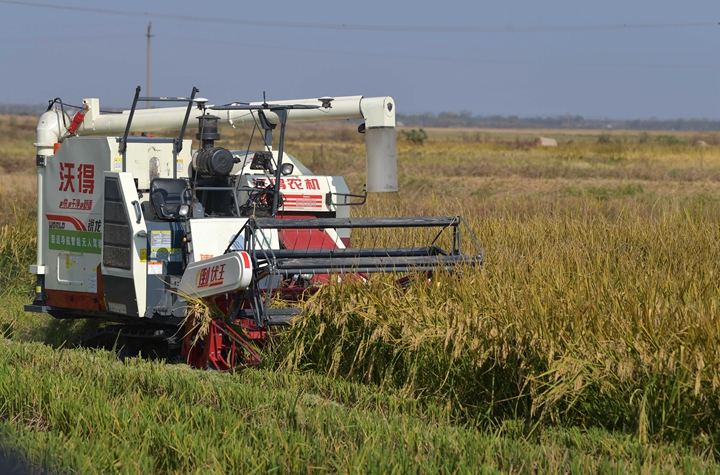 新華社評論員:穩(wěn)固耕地基本盤，打好種業(yè)翻身仗