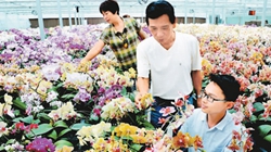 臺商眼中的改革開放：風景這邊獨好 要去，要去，要去！