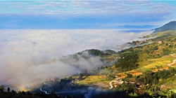 臺胞臺商熱議陜西惠臺“60條”：期盼落實、共享機遇