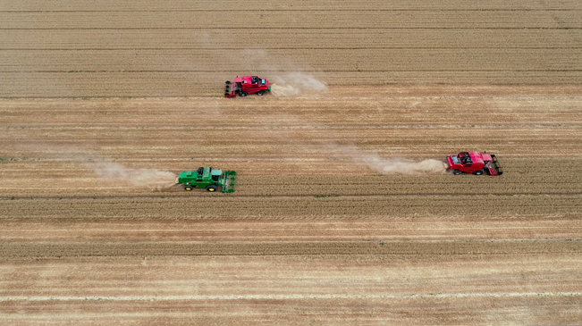 【“飛閱”中國(guó)】黃河兩岸，麥浪翻滾遍地金
