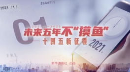 未來(lái)五年，不“摸魚(yú)”