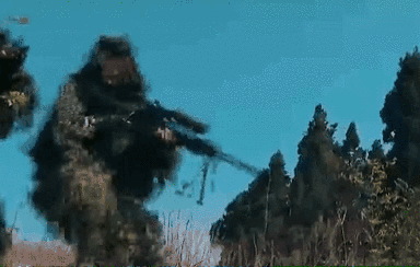 突入，擊斃！直擊武警特戰(zhàn)反劫持演練！