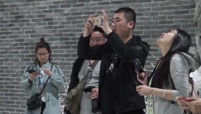 北京4月飄雪，鵝毛還是狂風任你呼喚