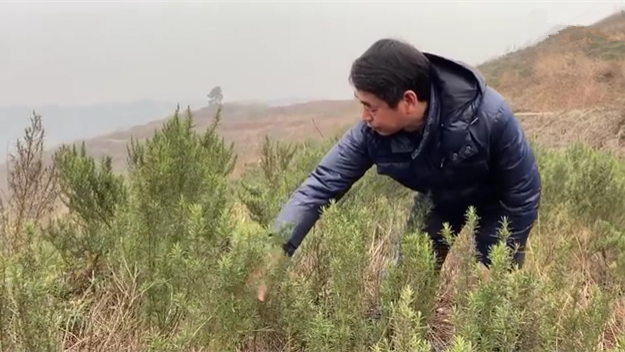 新春走基層｜脫貧后，駐村扶貧隊長在干啥？