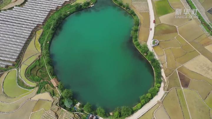 稻田新插，這里的山村美翻了！