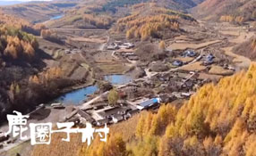 探秘關東人家，畫一個童話里的秋天