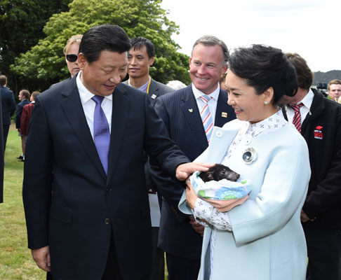 11月18日，國(guó)家主席習(xí)近平在澳大利亞塔斯馬尼亞州與朗塞斯頓市斯科奇－歐克伯恩小學(xué)的小學(xué)生共同植樹(shù)。這是習(xí)近平和夫人彭麗媛植樹(shù)后撫摸袋獾。新華社記者 馬占成 攝