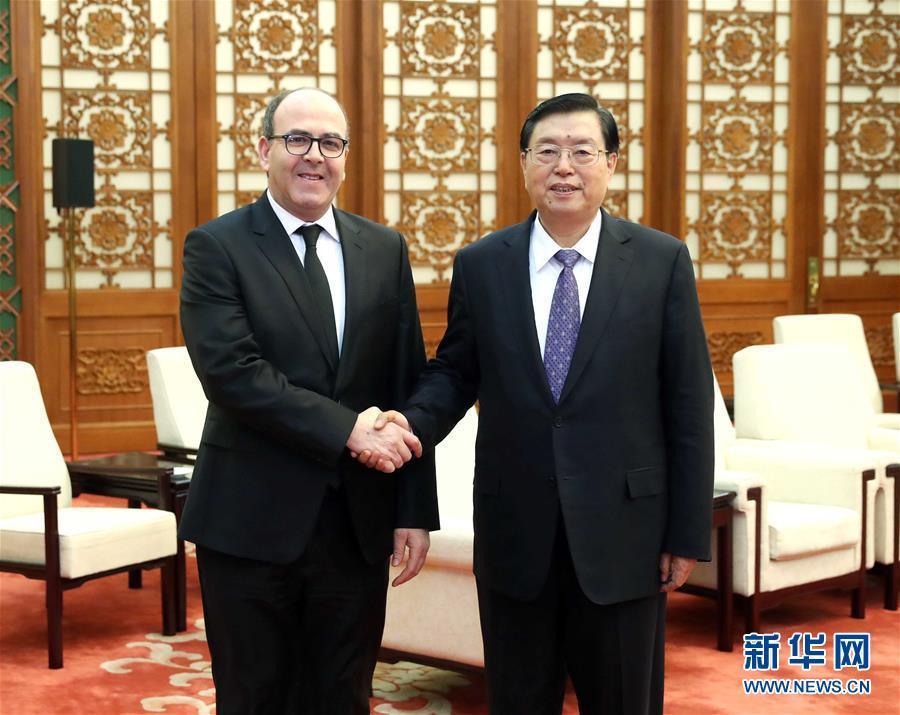 12月20日，全國人大常委會委員長張德江在北京人民大會堂會見摩洛哥參議長本希馬。新華社記者劉衛(wèi)兵攝