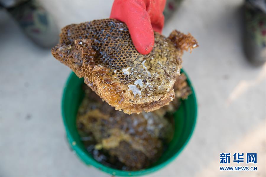 (國際·聚焦進口博覽會·圖文互動)(7)通訊:贊比亞蜂蜜企業(yè)欲借進博會開拓中國市場