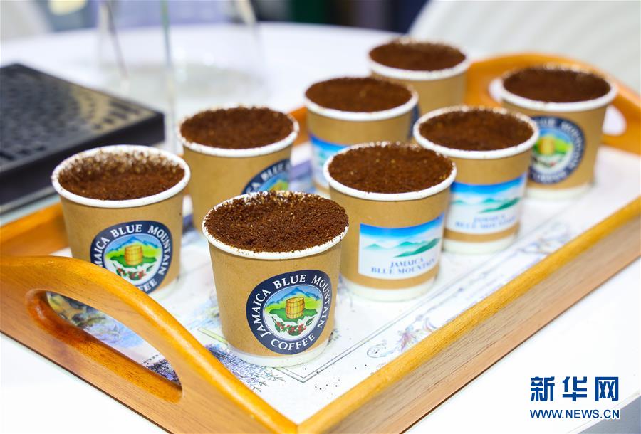 (新華全媒頭條·圖文互動(dòng))(15)人間正道 浩蕩前行——習(xí)近平主席出席首屆中國國際進(jìn)口博覽會(huì)紀(jì)實(shí)