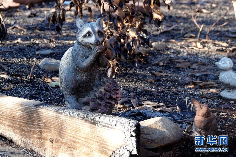 （國際·圖文互動(dòng)）（4）一場(chǎng)山火，讓這個(gè)冬天格外冷——探訪美國加州山火災(zāi)區(qū)