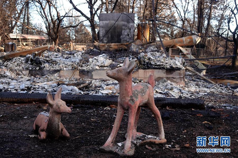 （國際·圖文互動(dòng)）（6）一場(chǎng)山火，讓這個(gè)冬天格外冷——探訪美國加州山火災(zāi)區(qū)