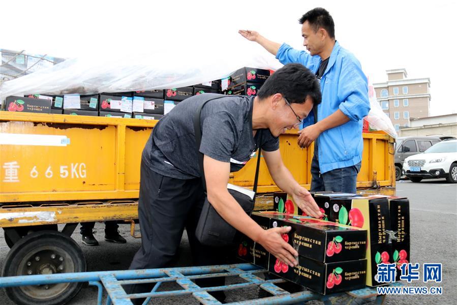 (圖文互動(dòng))(2)中亞櫻桃乘坐飛機(jī)進(jìn)入我國(guó)市場(chǎng)