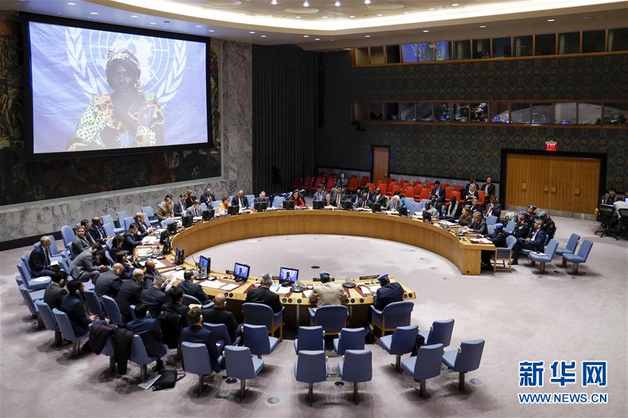 (國際·圖文互動)(2)中國代表就聯(lián)合國維和警察工作提出三點建議