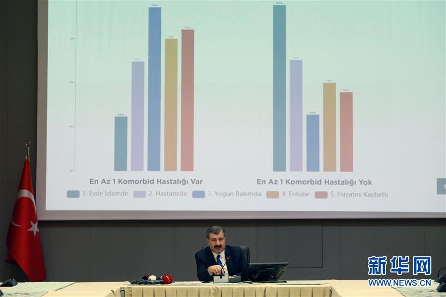 (國(guó)際疫情)(4)土耳其累計(jì)確診病例超兩萬(wàn)