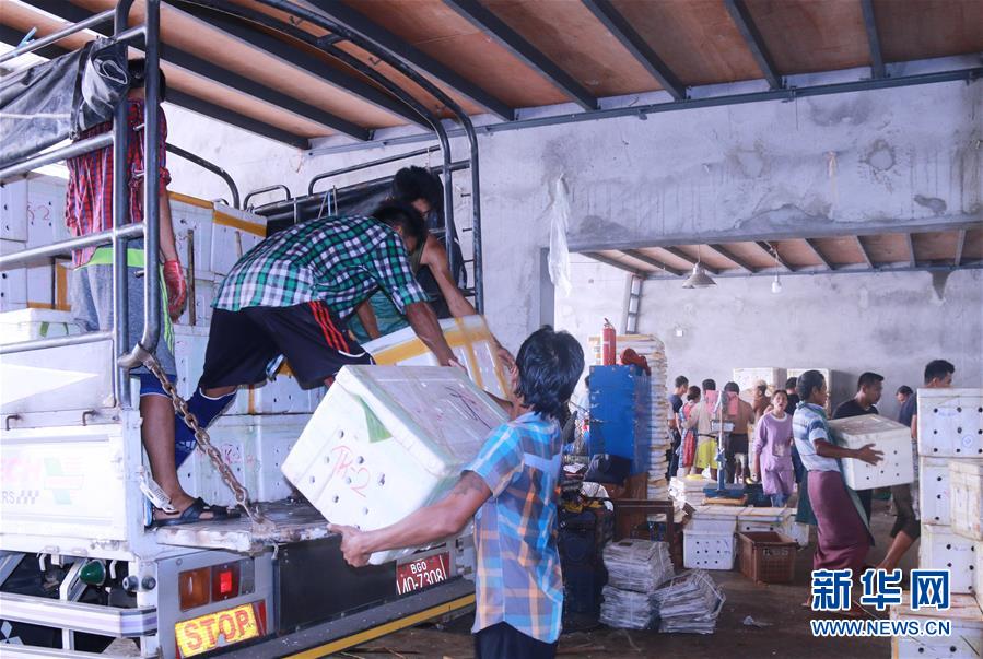 (新華全媒頭條·圖文互動)(7)中國—東盟自貿(mào)區(qū):“黃金十年”塑造世界經(jīng)貿(mào)新格局
