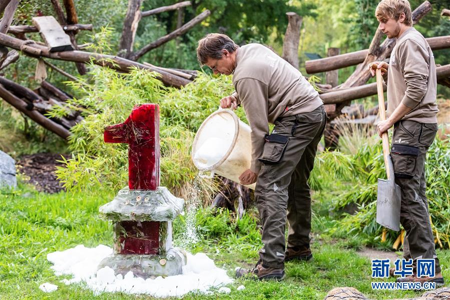 （國(guó)際）（2）德國(guó)柏林動(dòng)物園為大熊貓雙胞胎慶生