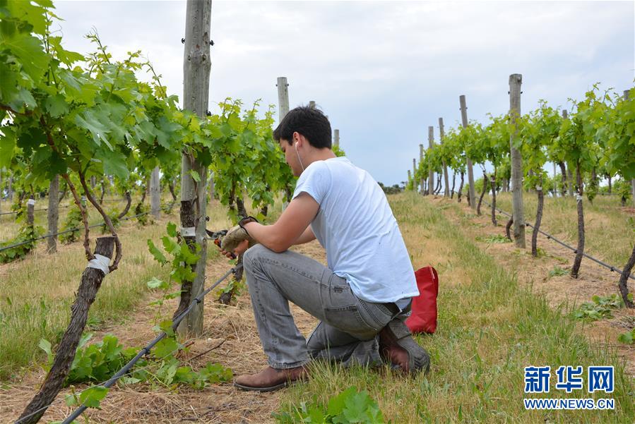 (第三屆進(jìn)博會·圖文互動(dòng))(7)專訪:進(jìn)博會是了解中國市場的好機(jī)會——訪澳大利亞諾瓦維塔葡萄酒集團(tuán)創(chuàng)始人卡臣