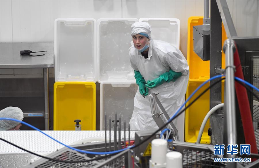 （第三屆進博會&middot;圖文互動）（2）通訊：新西蘭的進博會味道，甜