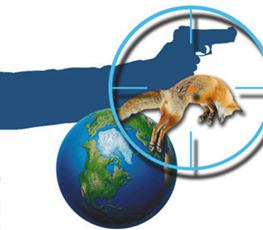 中國(guó)全球&ldquo;獵狐&rdquo;戰(zhàn)果豐碩！