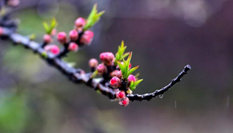 隨心而行，走走停停始終精彩。