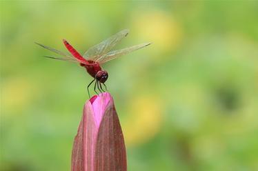 2019，精&ldquo;彩&rdquo;紛呈