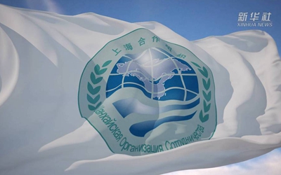 你好，上合！