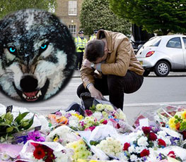 血案頻發(fā) "獨狼"緣何兇猛？