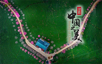 江山如畫，想把春的故事講給你聽